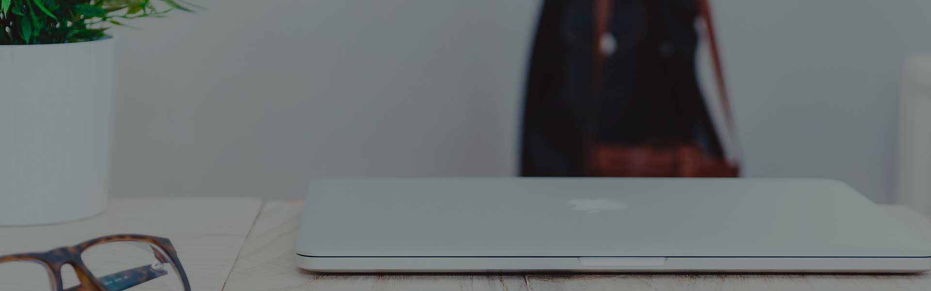 Reliance de México Contacto